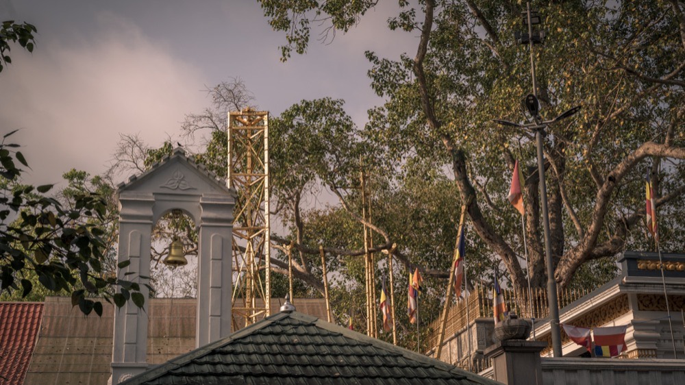 Sri Maha Bodhi shrine precinct, Anuradhapura