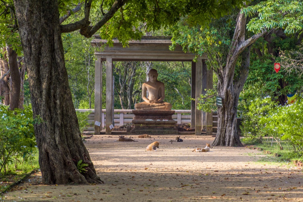 Samadhi Buddha statue, Anuradhapura