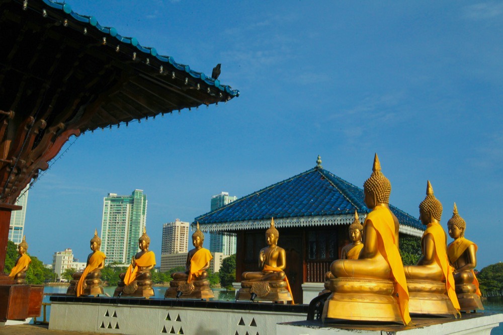 Golden Buddha statues at Gangaramaya Temple, Colombo