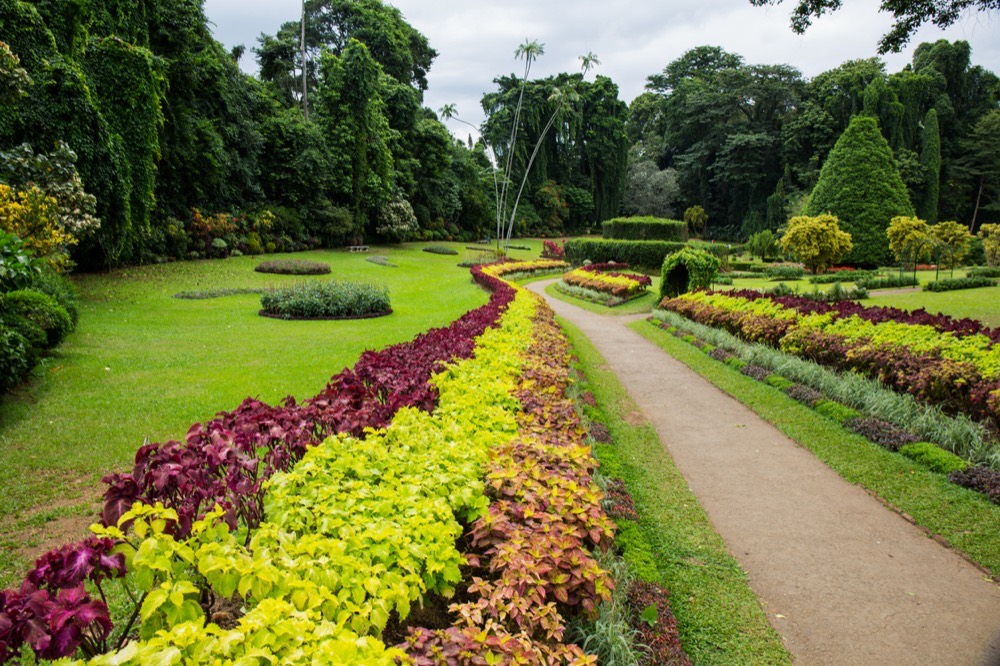 Royal Botanic Gardens, Peradeniya