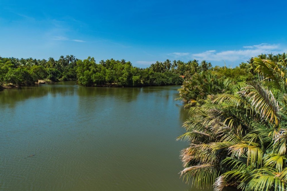 Muthurajawela marsh waterway