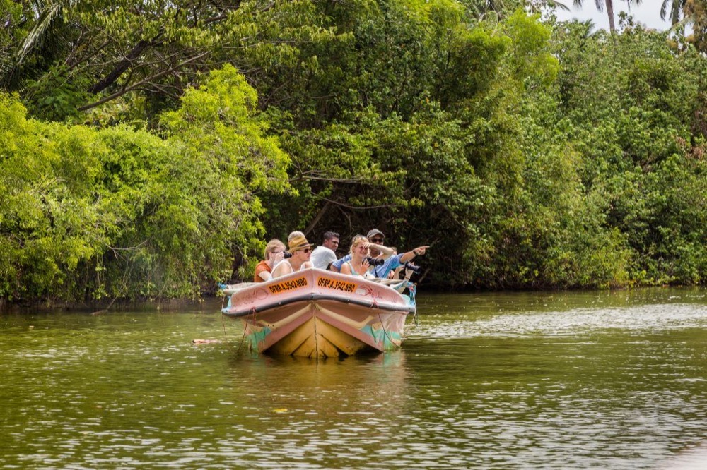 Boat tour through a mangrove lagoon, Negombo