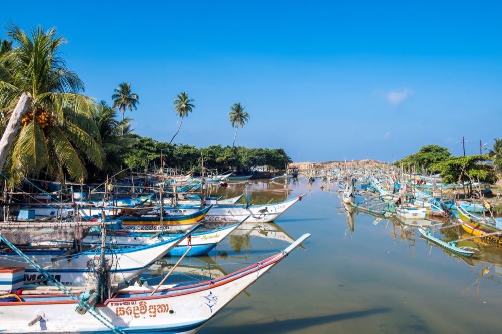 Fishing boats moored at Pamunugama