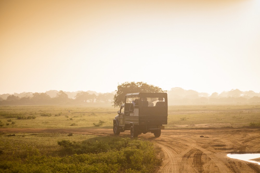 Safari jeep at sunrise, Bundala National Park