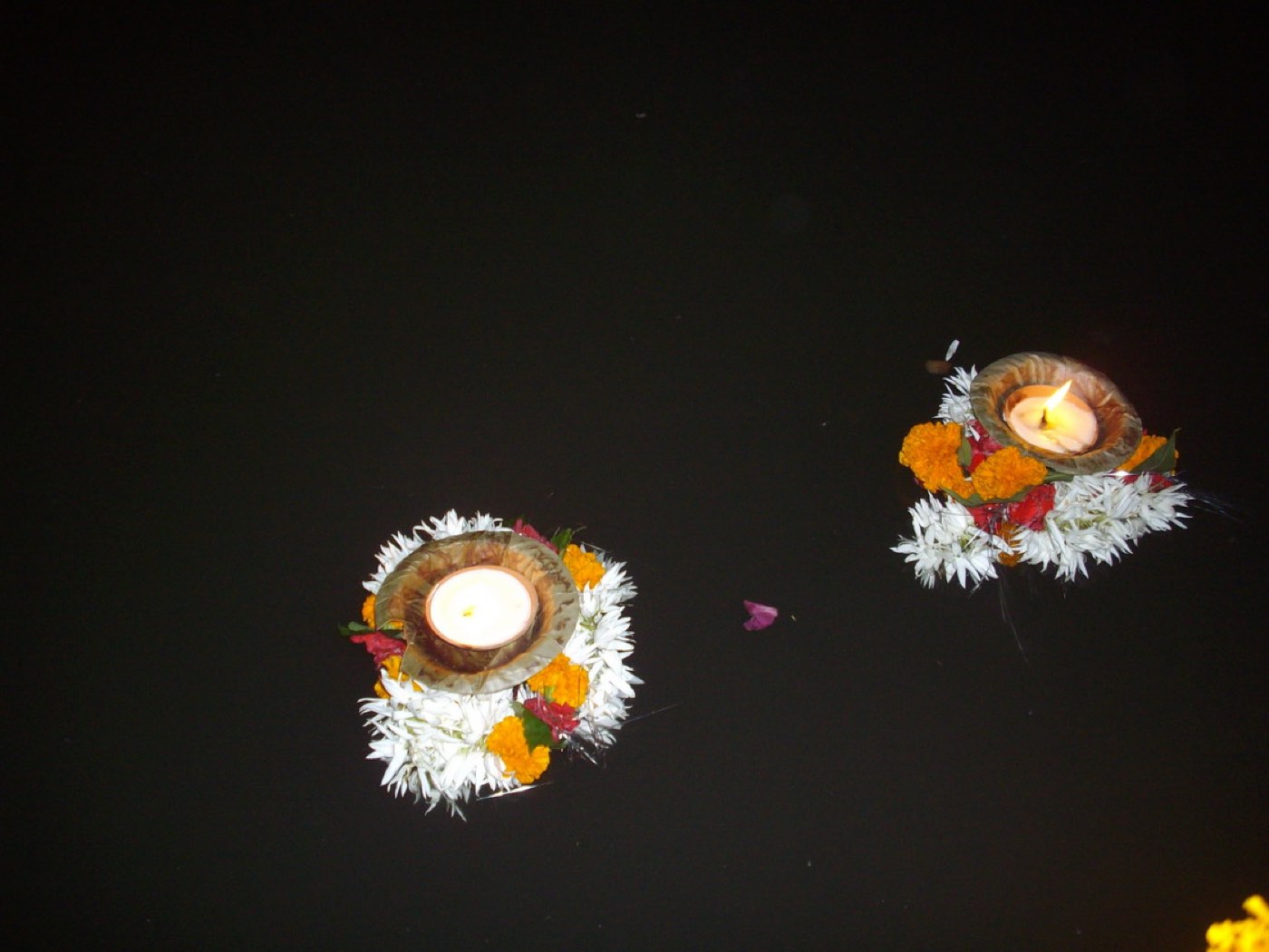 Lit diya lamps floating on dark water